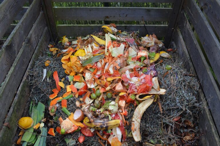 compost smells like ammonia