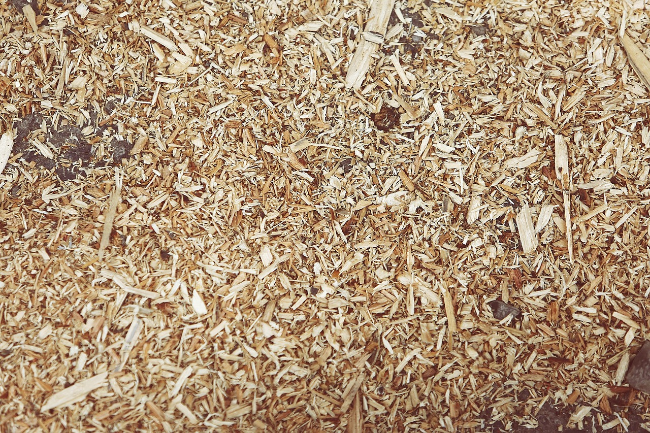 Discover the best bedding for worms in this data-driven, 2000-word ultimate guide. Learn how to balance C:N ratios, manage moisture, and compare cardboard vs. coir for a high-yield, odorless vermicompost bin.