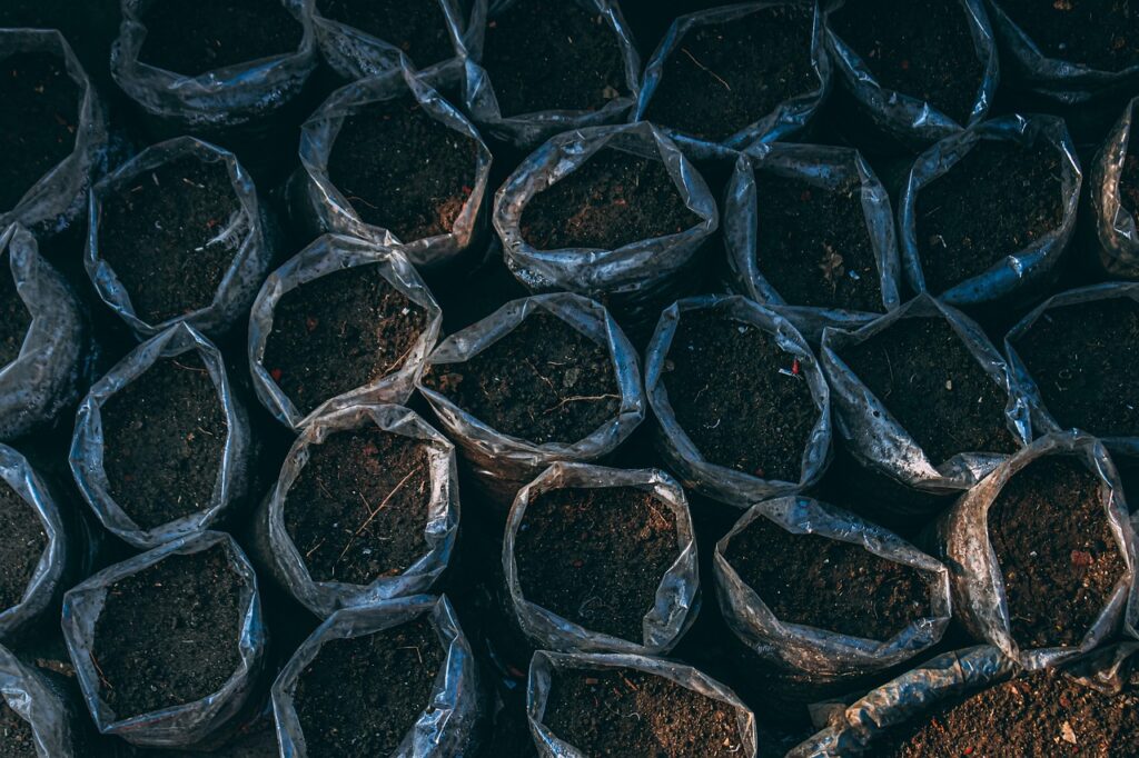 5 Effective Ways to Use Eggshells in Garden Beds